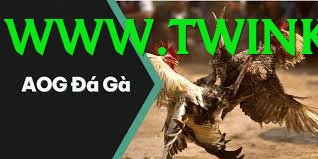 Đá Gà Trực Tiếp - win58